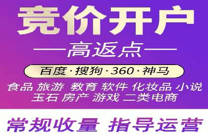 百度推广公司的成功案例：如何实现广告投资回报最大化